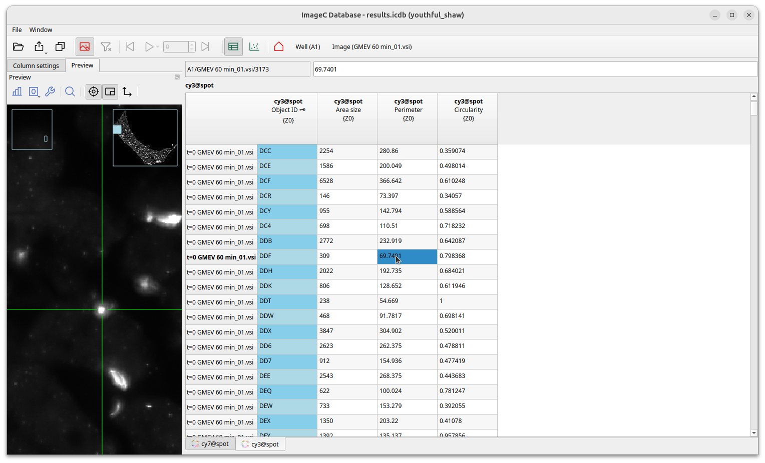 images/screenshot_image_view_interactive_mode.png